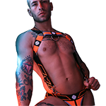 Breedwell Akira Body Harness - Neon Orange