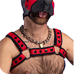 Mr. S Neo Bold Color Bulldog Harness - Red